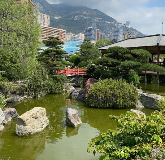 un giardino giapponese all'interno del principato di monaco